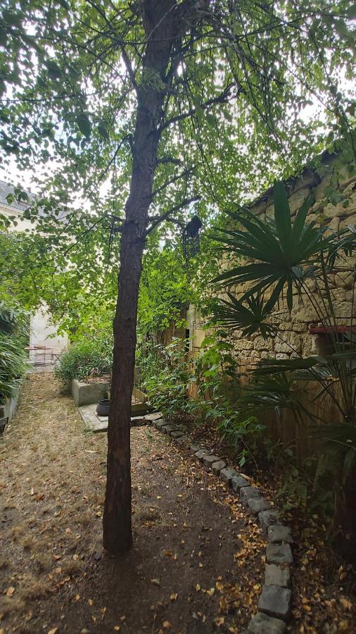 La Maison De Louise Chinon #Chateaux #Vignobles 외부 사진