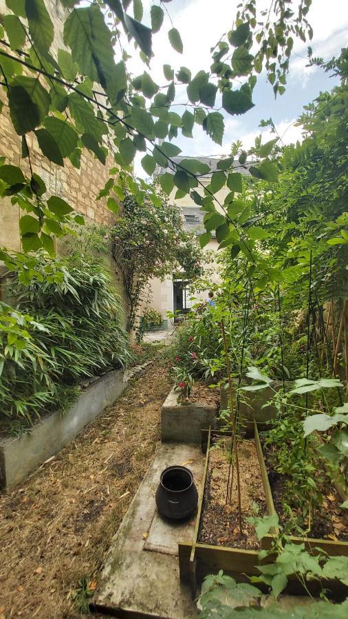 La Maison De Louise Chinon #Chateaux #Vignobles 외부 사진